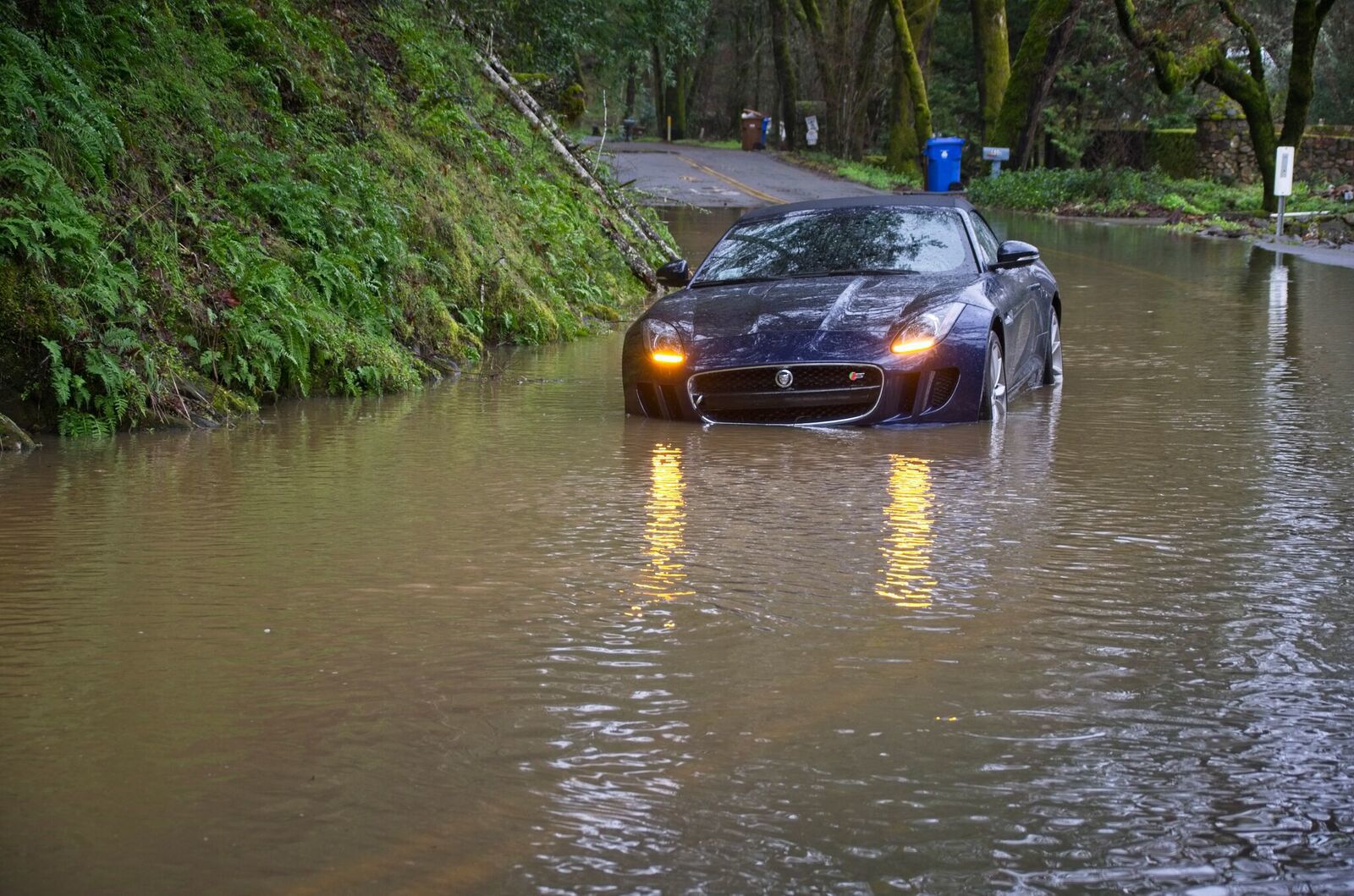 Vehicle in water